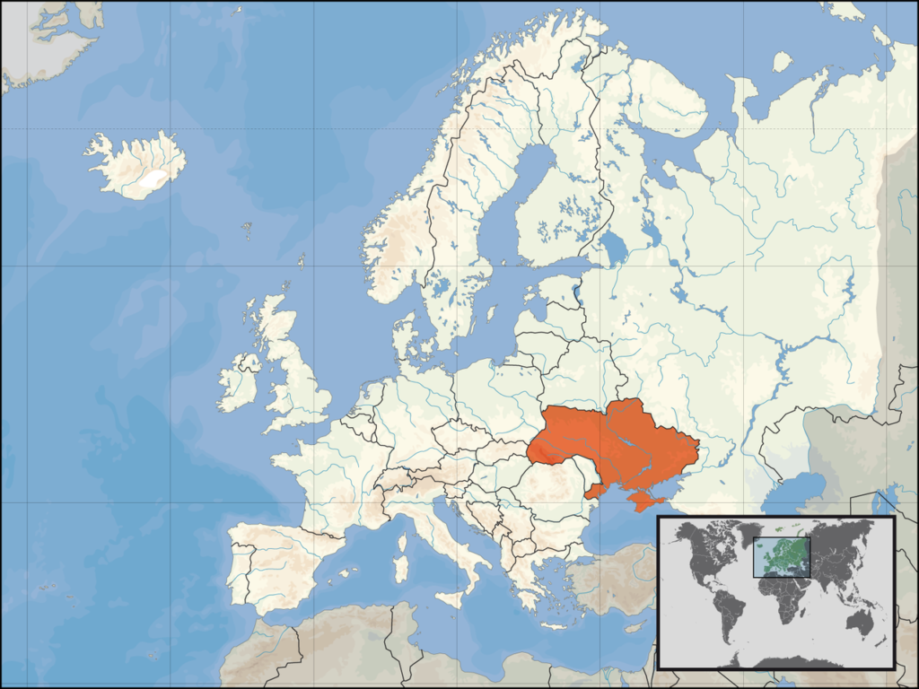 zwierzęta